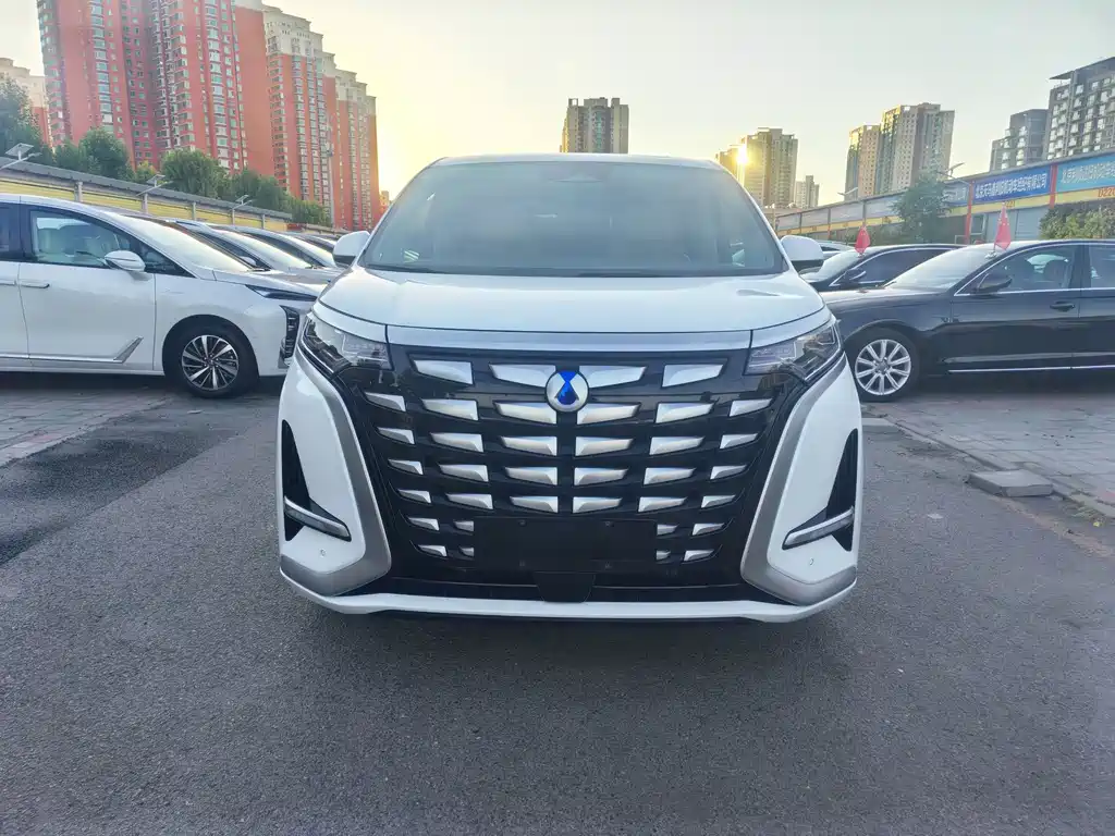 Denza Denza D9 — миниатюра 2