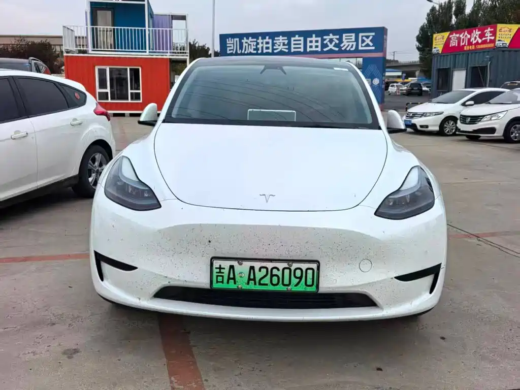 Tesla Model Y — миниатюра 2