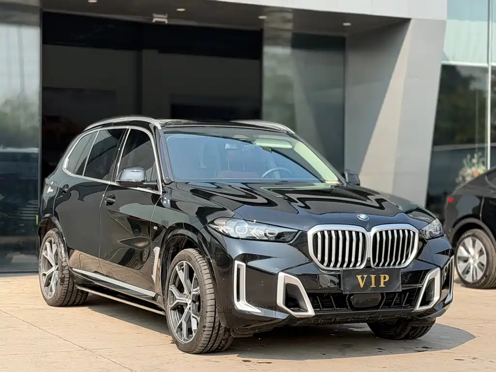 BMW X5 — миниатюра 3