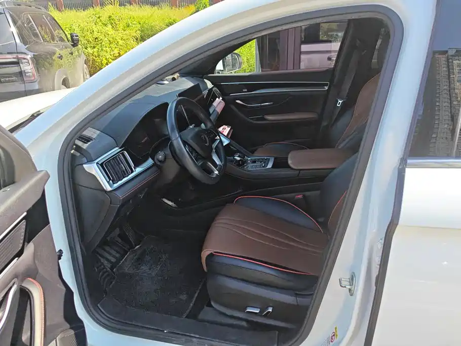 BYD PLUS — миниатюра 9
