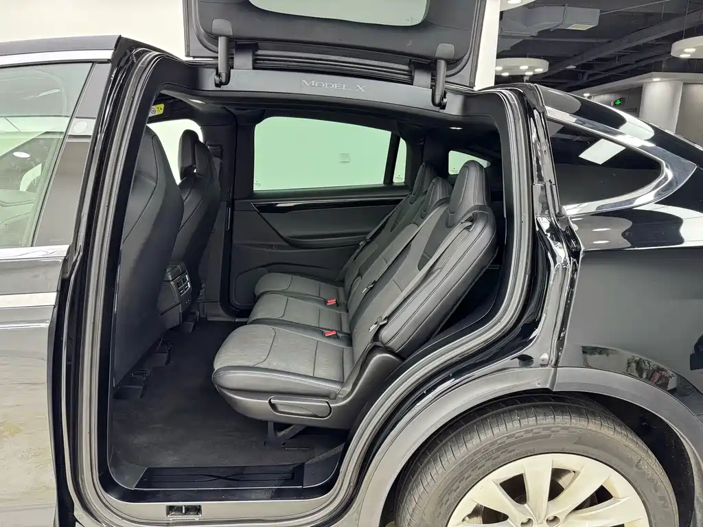 Tesla Model X — миниатюра 27