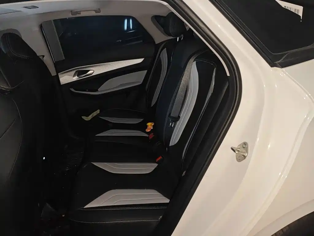 Geely Binrui — миниатюра 15
