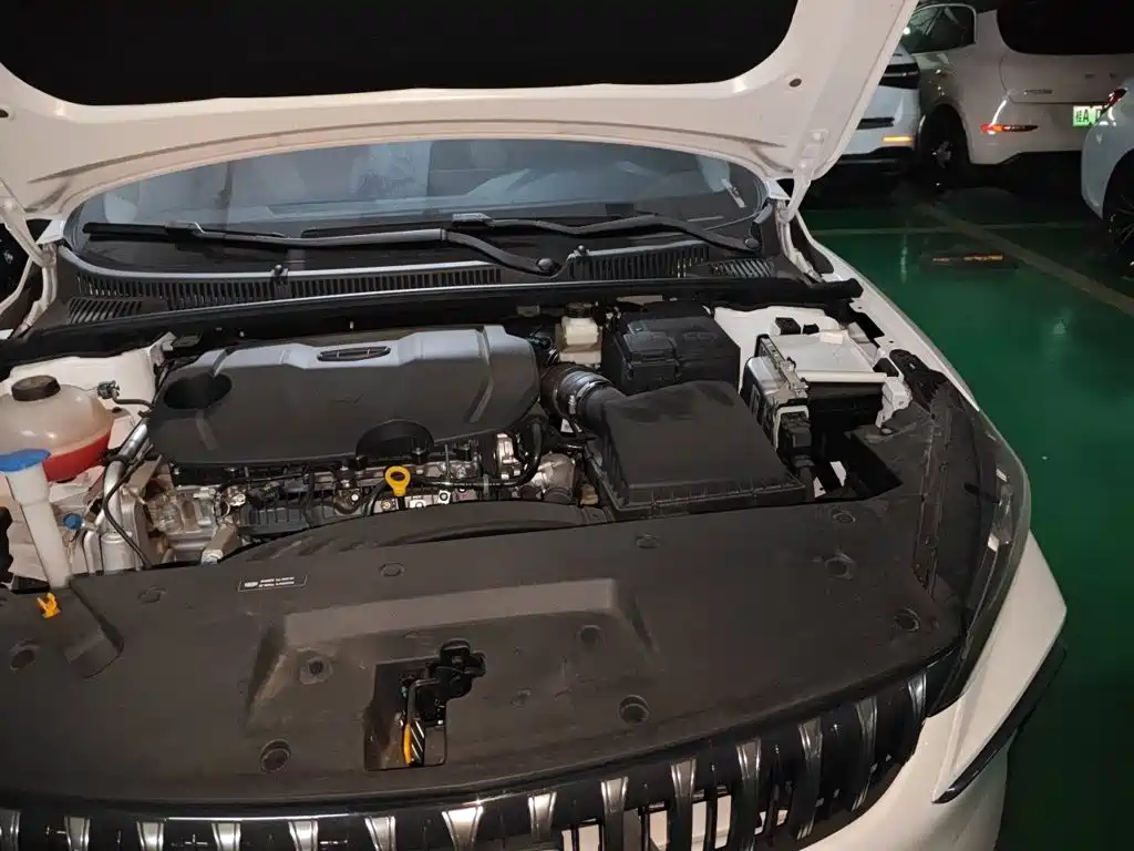 Geely Binrui — миниатюра 20