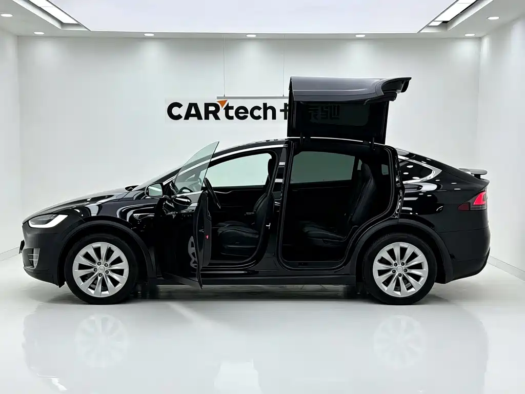 Tesla Model X — миниатюра 9