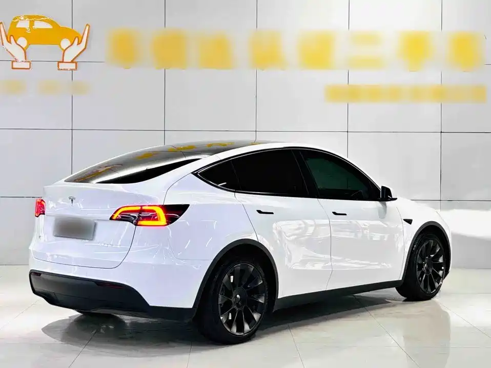 Tesla Model Y — миниатюра 11