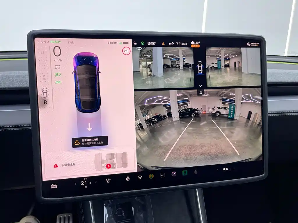Tesla Model Y — миниатюра 27