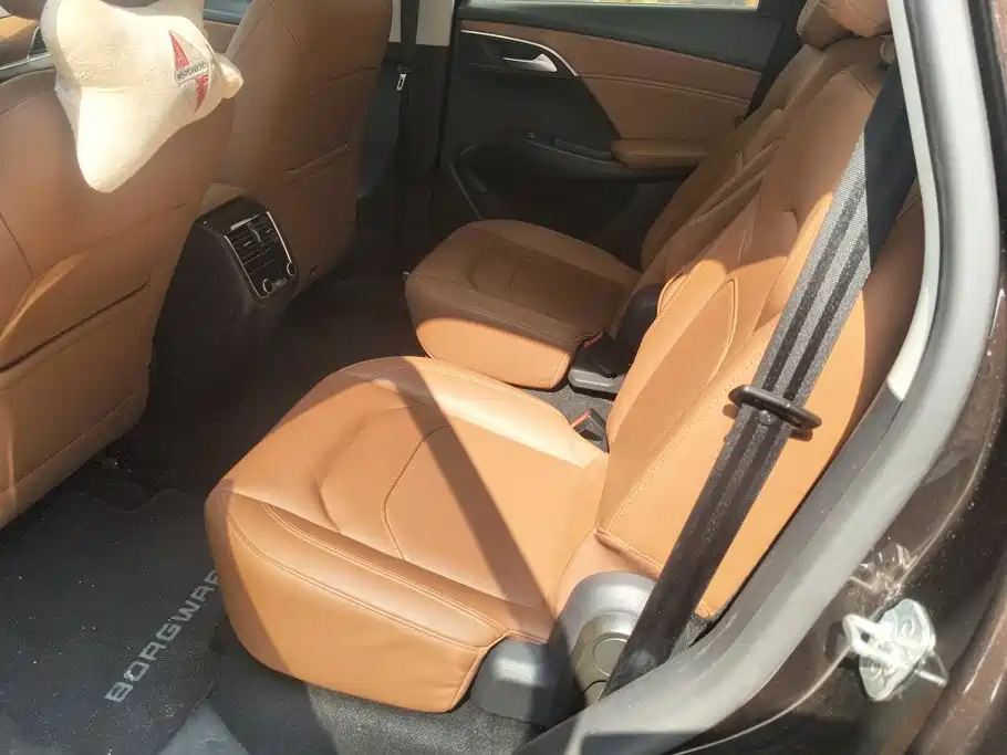 Borgward BX7 — миниатюра 11