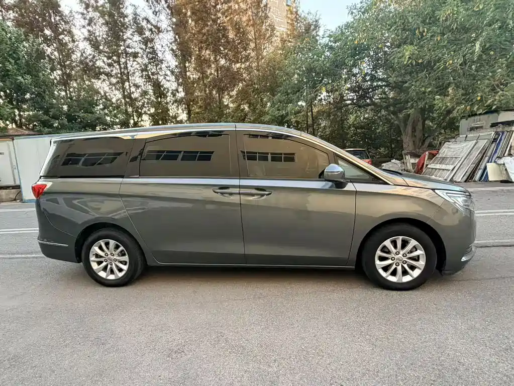 Buick GL8 — миниатюра 3