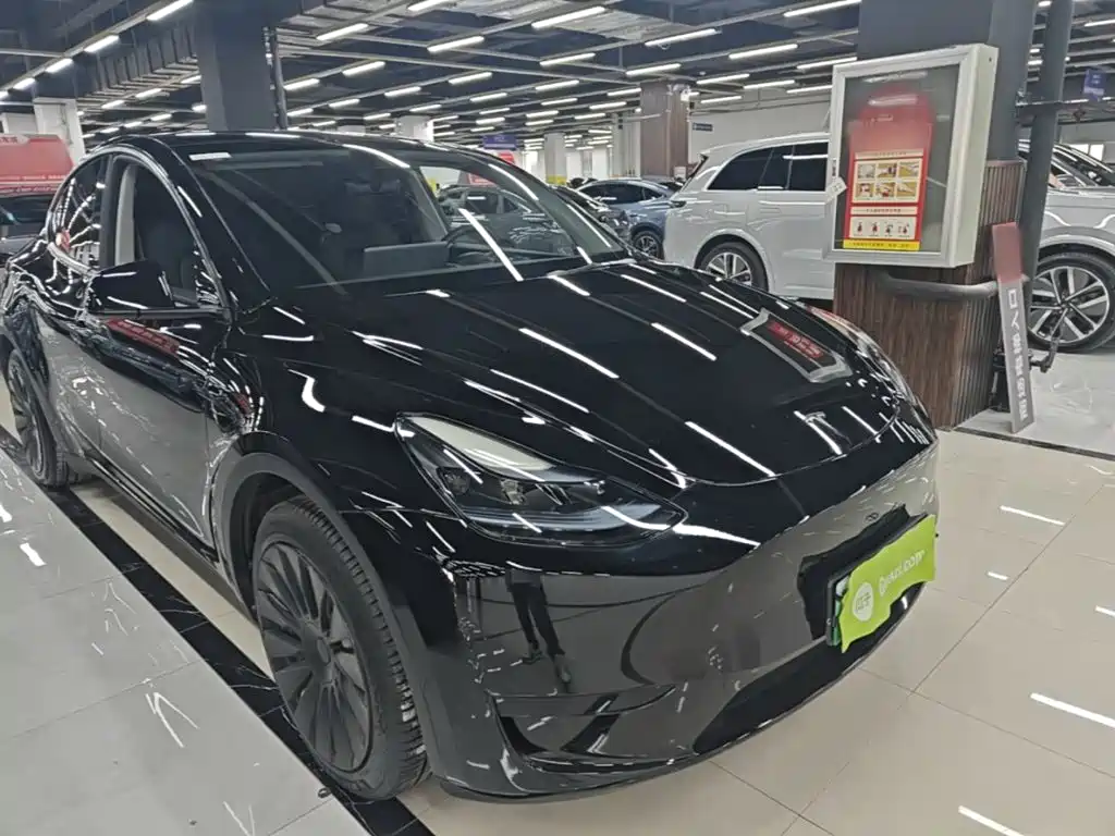 Tesla Model Y — миниатюра 4