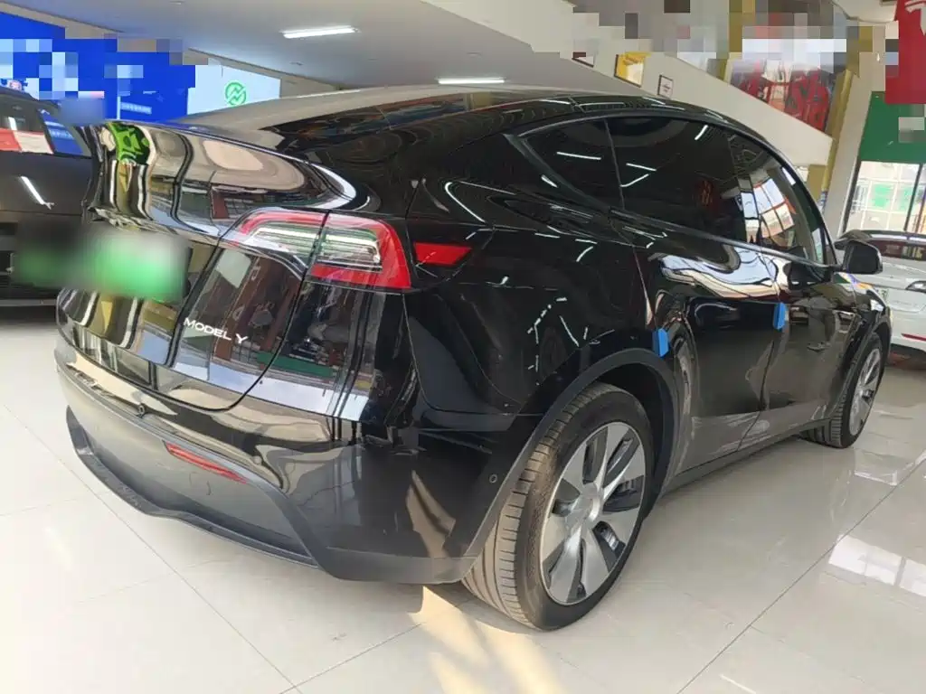Tesla Model Y — миниатюра 7
