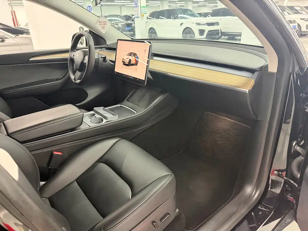 Tesla Model Y — миниатюра 6