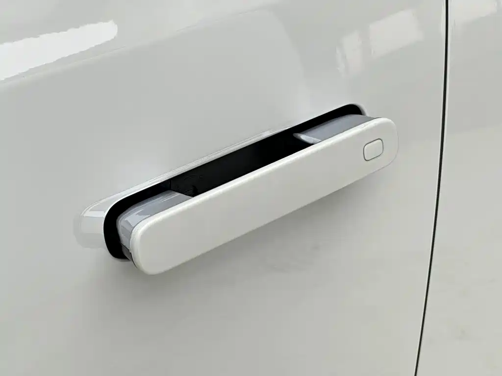 Denza Denza N8L — миниатюра 28