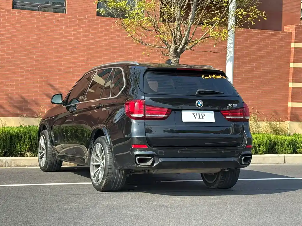 BMW X5 (Import) — миниатюра 8