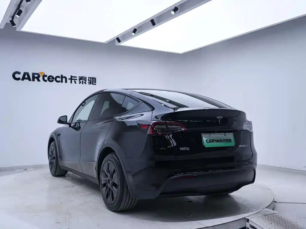 Tesla Model Y — миниатюра 19
