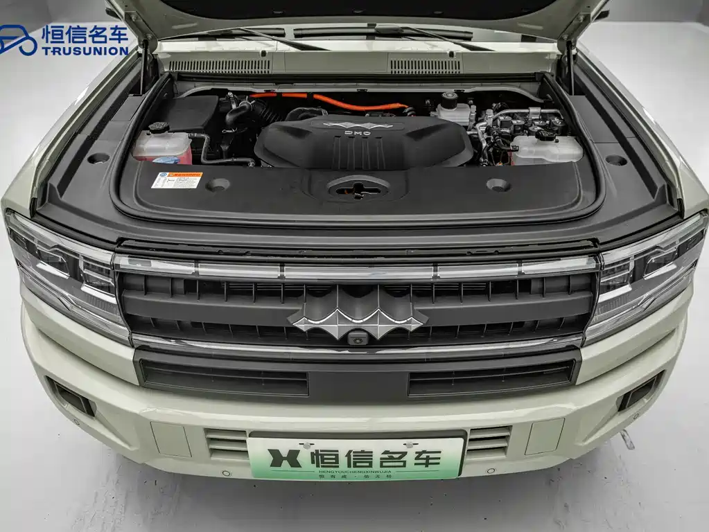 FANG CHENG BAO LEOPARD 5