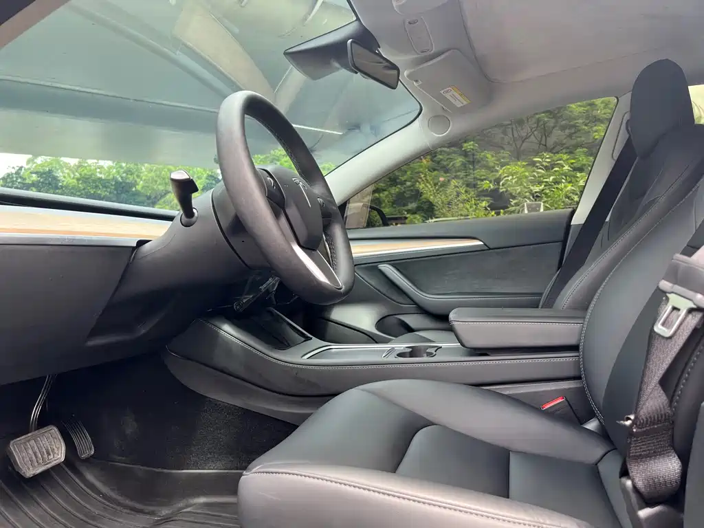 Tesla Model 3 — миниатюра 14