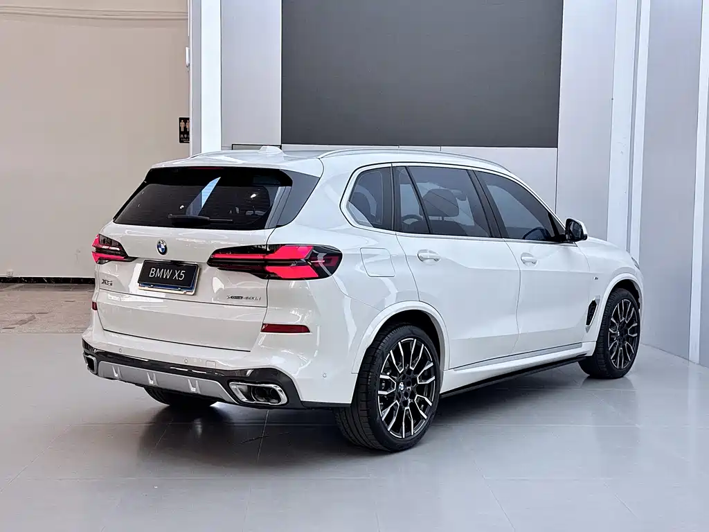 BMW X5 — миниатюра 20