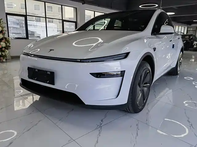 TESLA MODEL Y 2026
