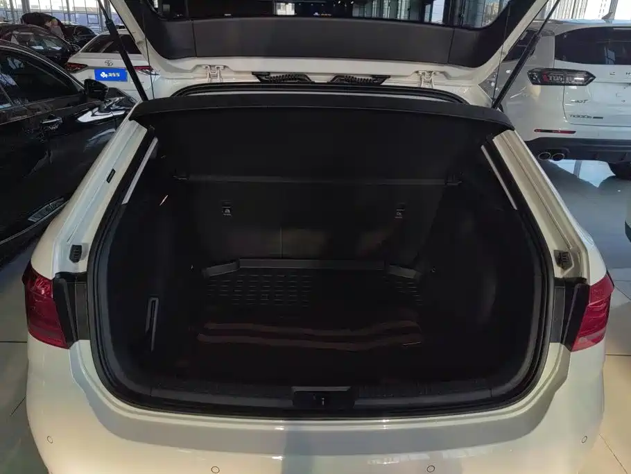 Volkswagen Gran Lavida — миниатюра 4