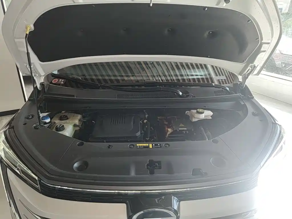 GAC Motor Trumpchi E9 — миниатюра 20