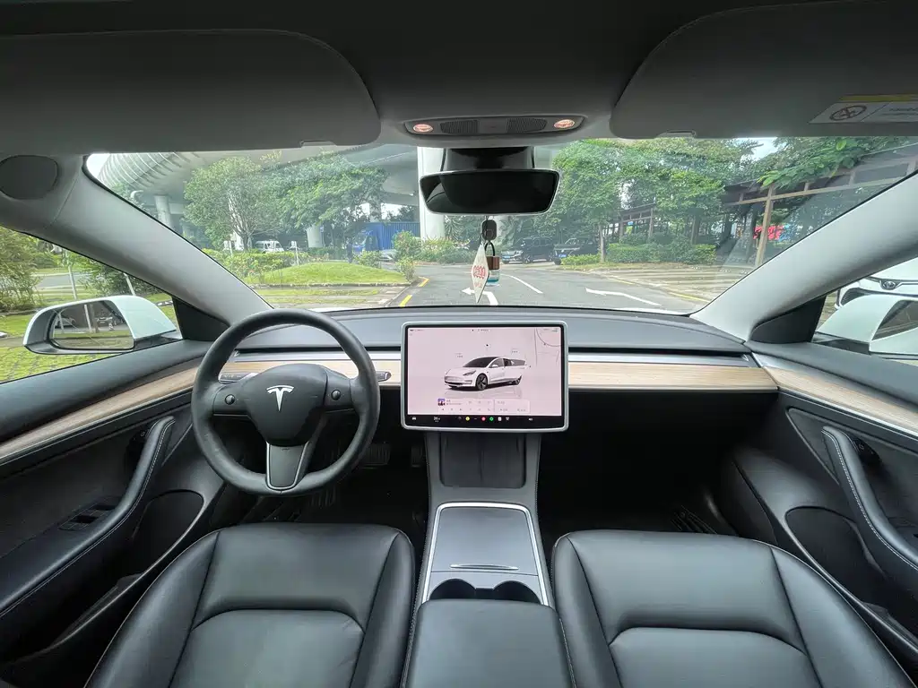 Tesla Model 3 — миниатюра 22
