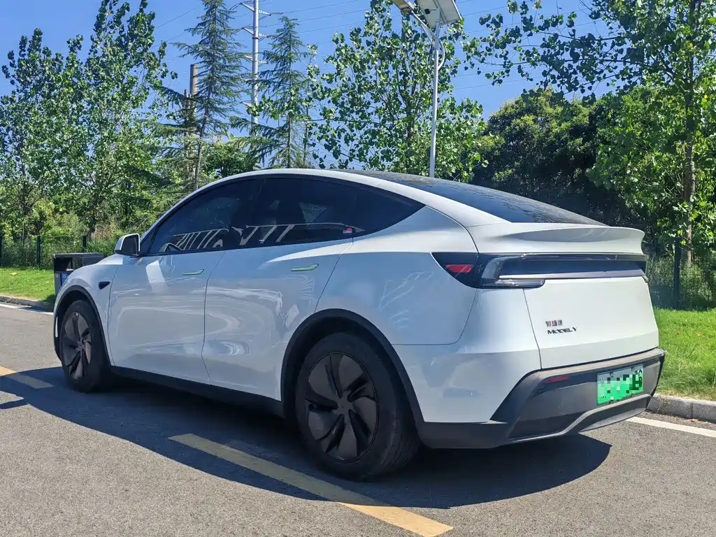 Tesla Model Y — миниатюра 9