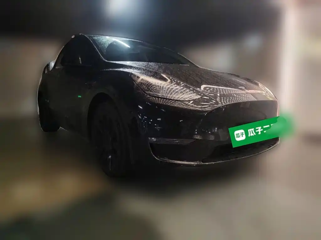 Tesla Model Y — миниатюра 4