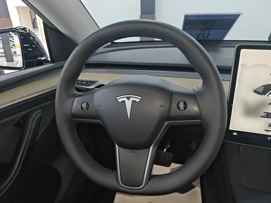 Tesla Model Y — миниатюра 11