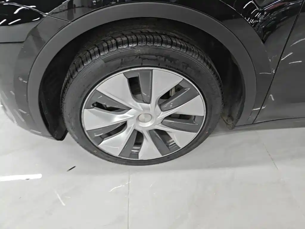 Tesla Model Y — миниатюра 23