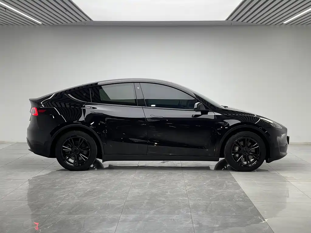 Tesla Model Y — миниатюра 8
