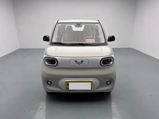 Wuling Mini EV MINIEV 2024 215km