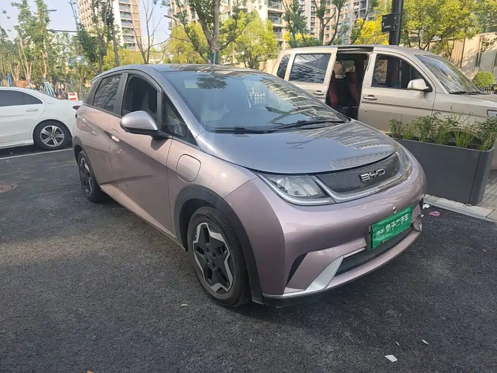 BYD Dolphin — миниатюра 4