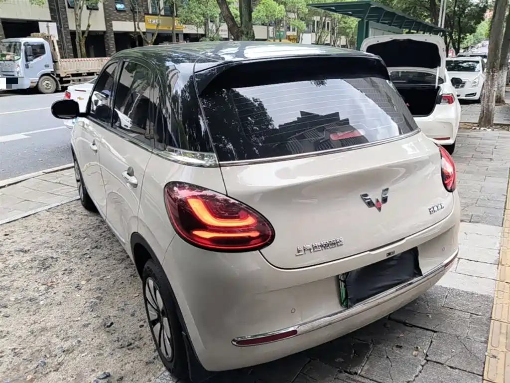 Wuling Binguo 2024 333km
