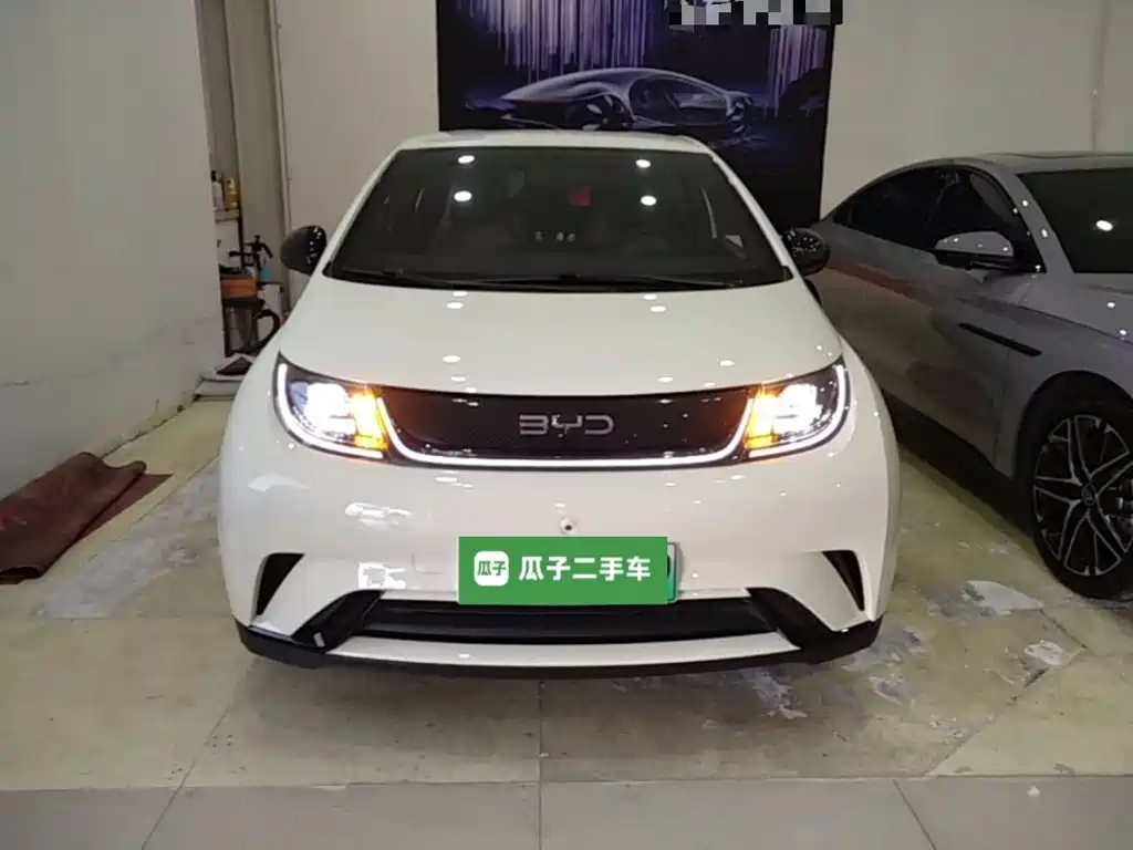 BYD Dolphin — миниатюра 3