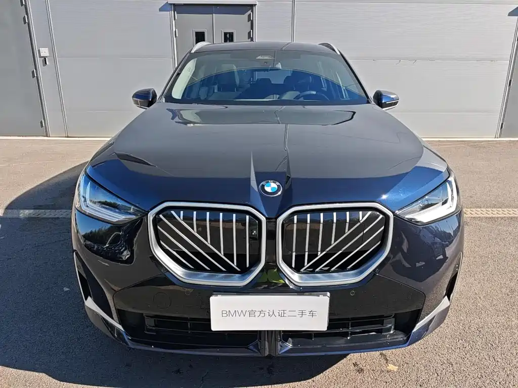 BMW X3 — миниатюра 2