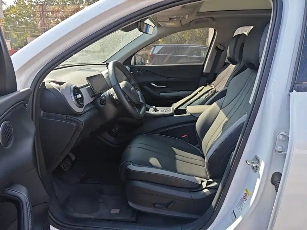 BYD Sealion 05 DM-i — миниатюра 15