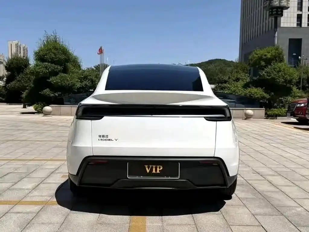 Tesla Model Y — миниатюра 8