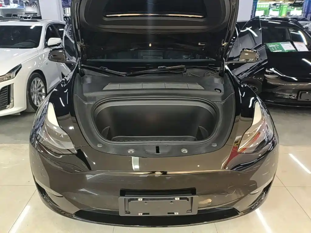 Tesla Model Y — миниатюра 20