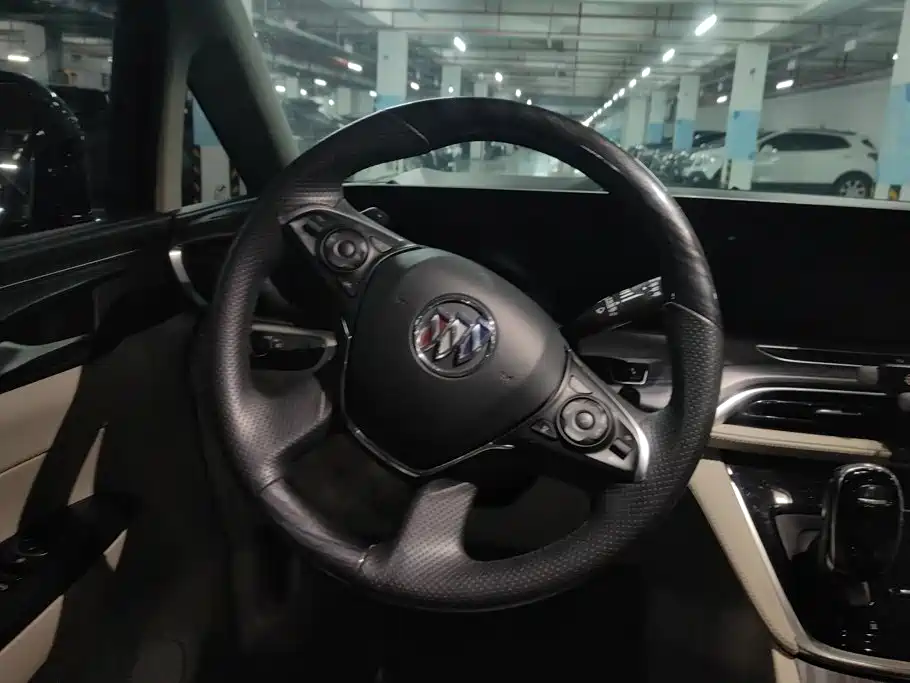 Buick GL8 — миниатюра 15