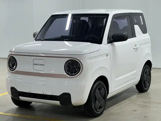 GEELY GALAXY PANDA 2024