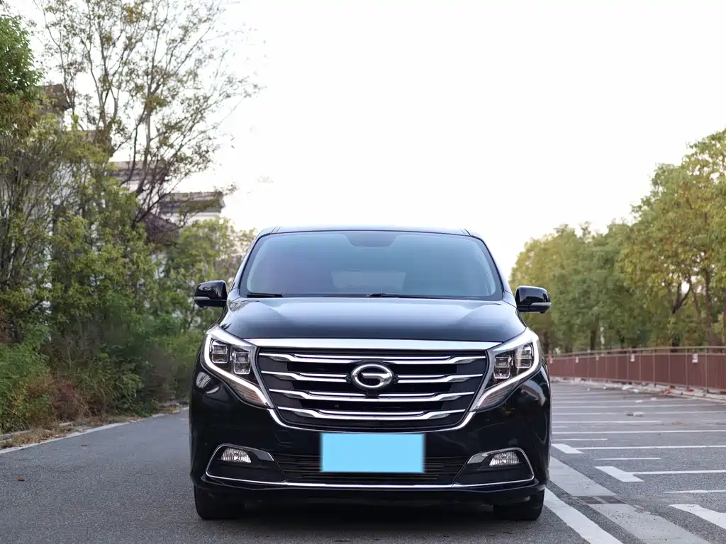 GAC Motor Trumpchi M8 — миниатюра 3