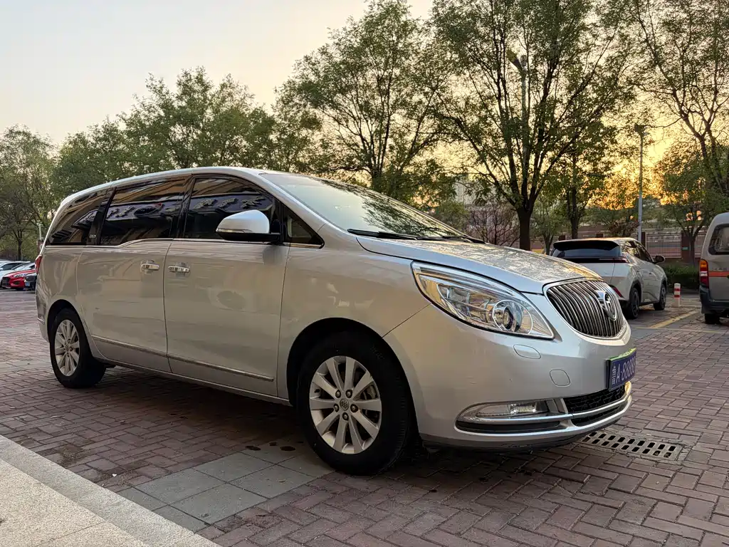 Buick GL8 — миниатюра 8