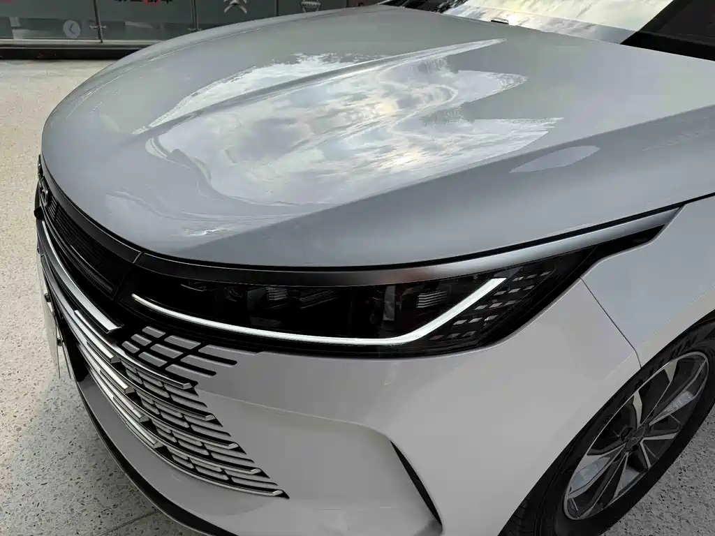 BYD Destroyer 05 — миниатюра 24