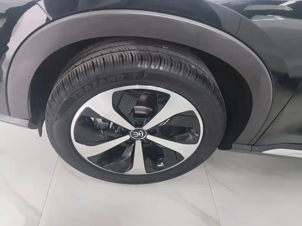 BYD PLUS New Energy — миниатюра 23