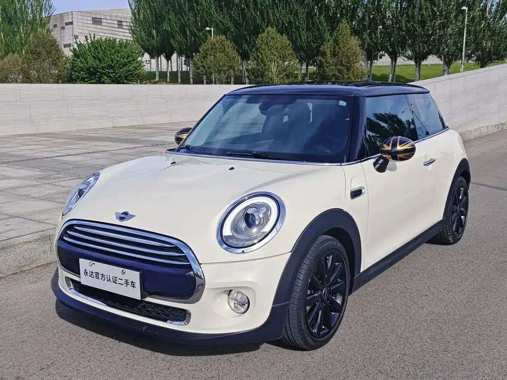 Mini Mini 2017