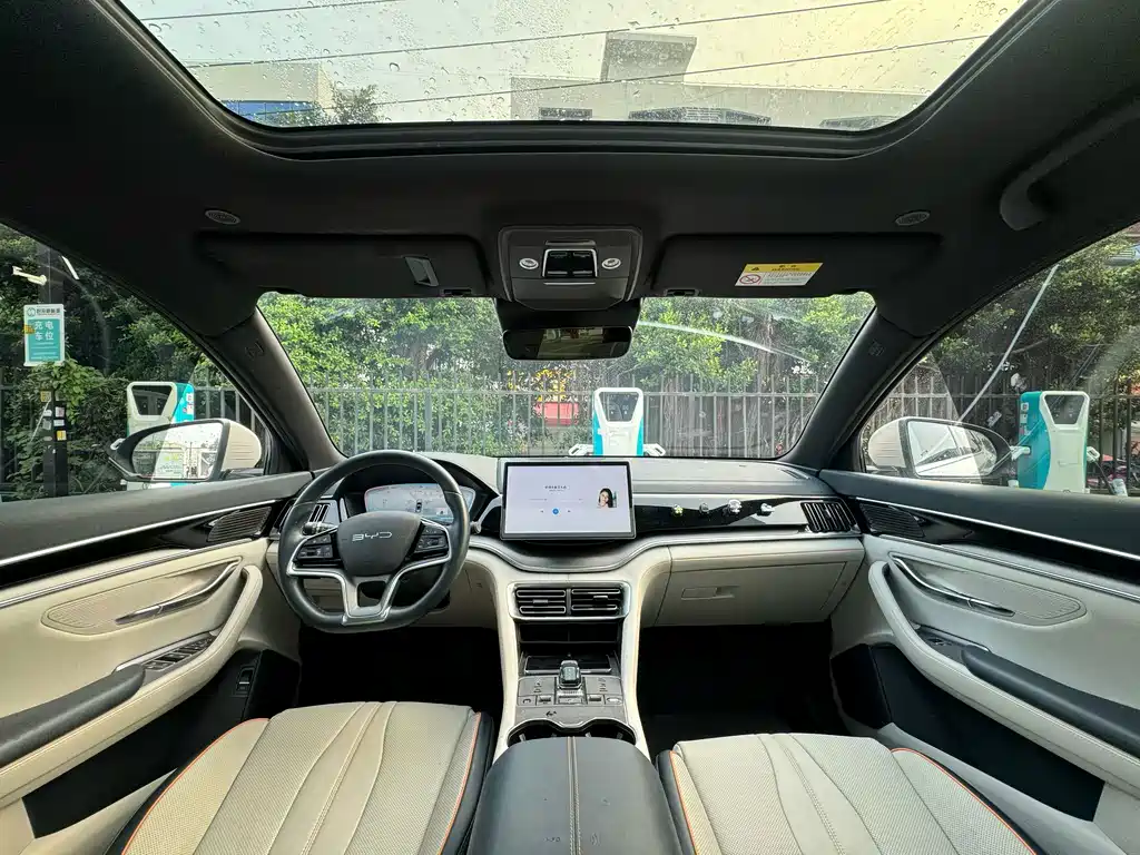 BYD PLUS New Energy — миниатюра 5