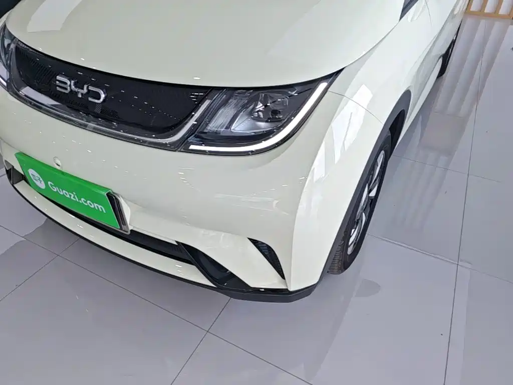BYD Dolphin — миниатюра 24