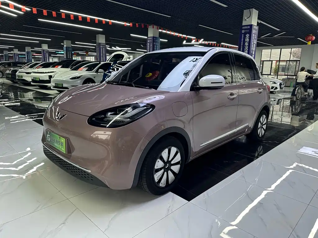 Wuling Binguo