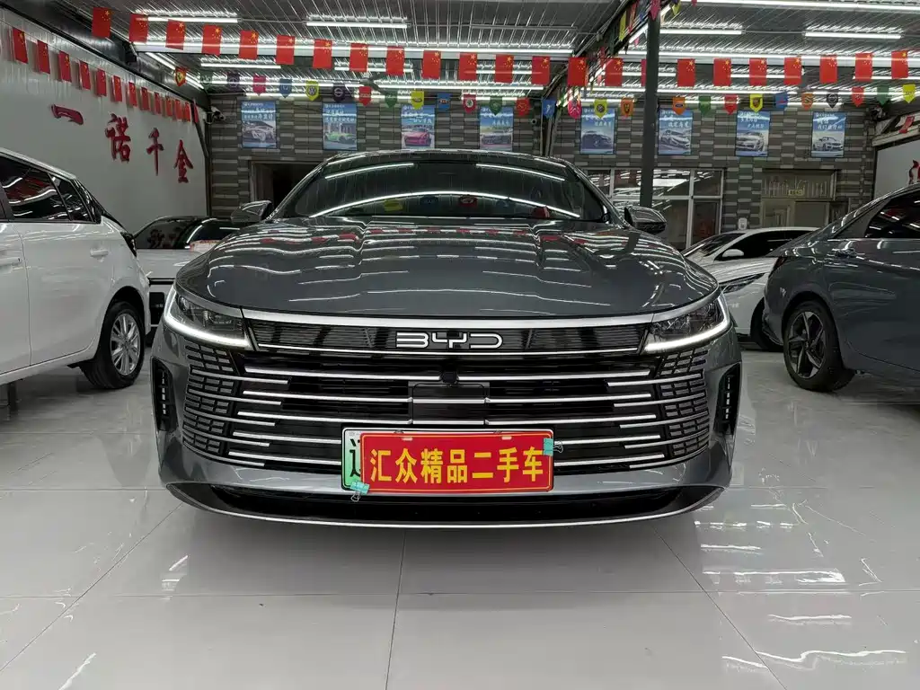 BYD Destroyer 05 — миниатюра 3