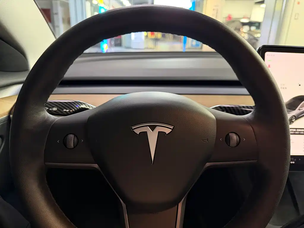 Tesla Model 3 — миниатюра 22